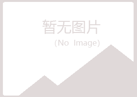 黑河夜山化学有限公司